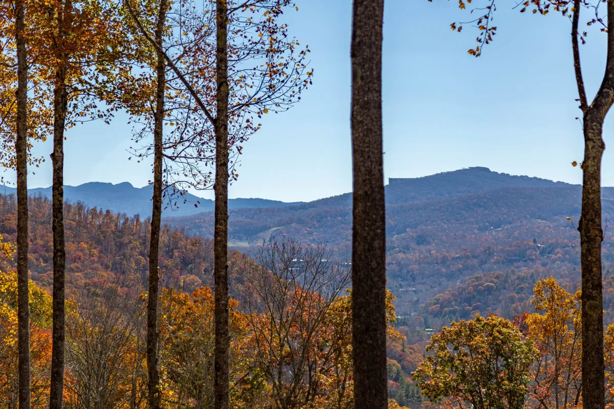 A panoramic view of tall trees with their autumn foliage and dramatic mountain ridges in the distance. The scene is serene and expansive, evoking both the beauty and seclusion of the property’s mountain setting.